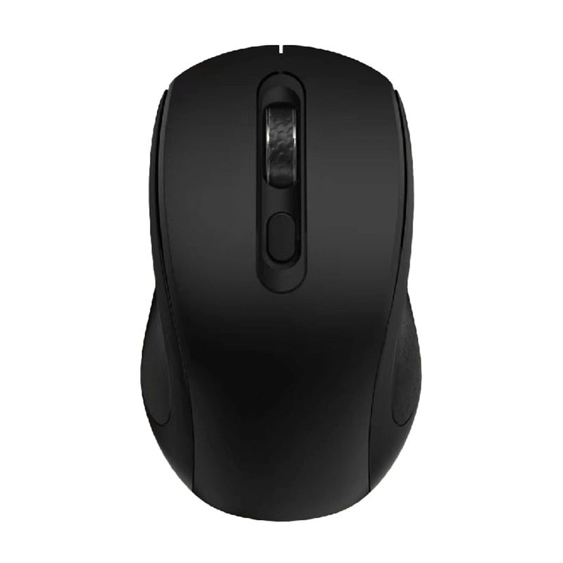 Black computer mouse on a white background