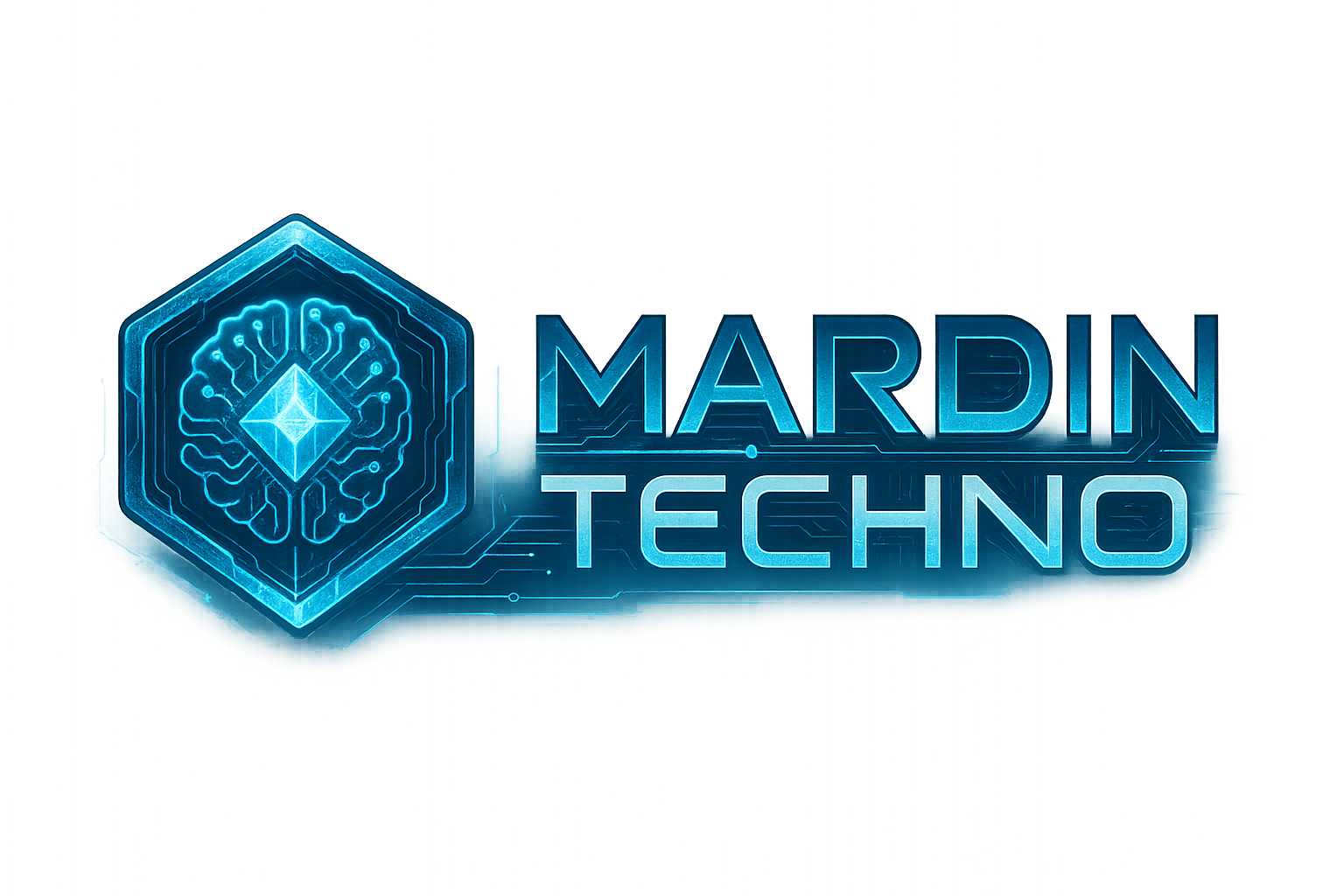 Mardin Techno store